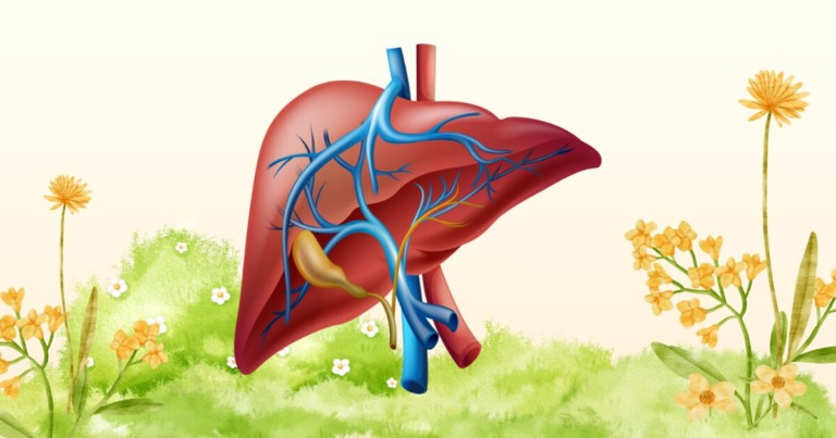 무릎 통증과 간기능