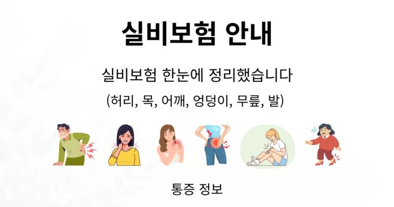 실손보험
