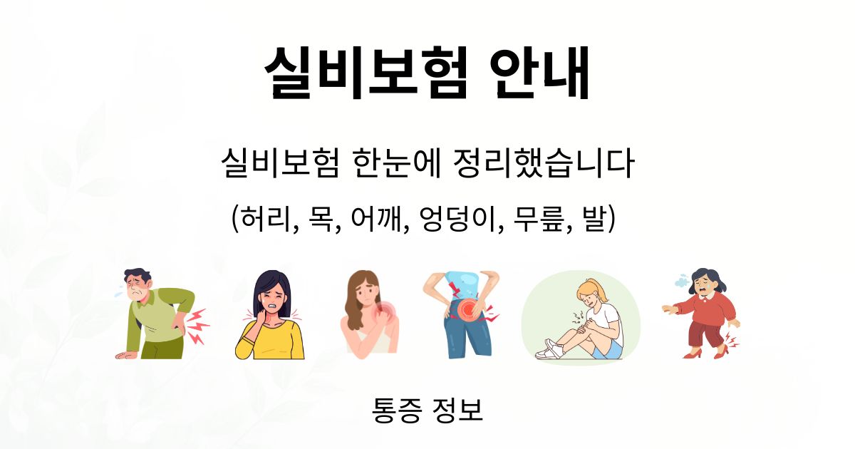 실손보험